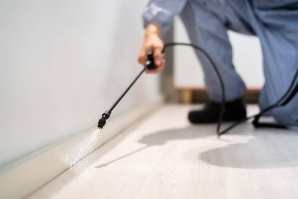 Certified termite inspector examining foundation in Kiel
